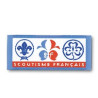 Insigne Scoutisme Français/Omms/Amge