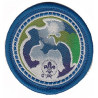 Insigne world scout environnement bleu