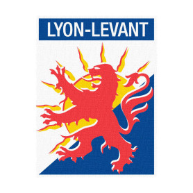 Insigne de Territoire LYON LEVANT