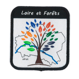 Insigne LOIRE et FORETS