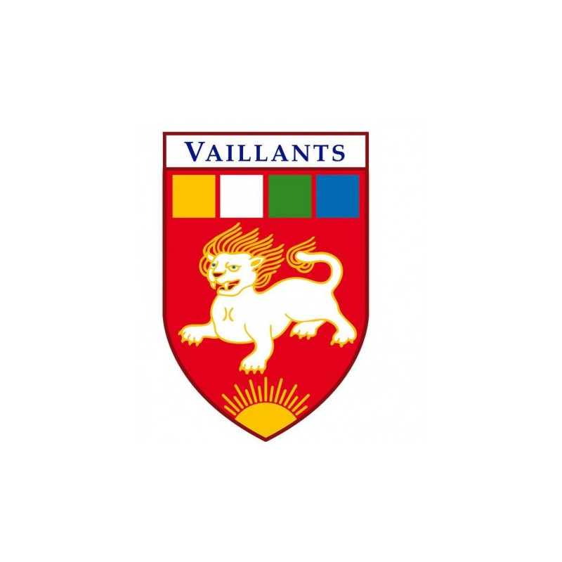 Insigne branche Vaillant - EDLN