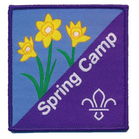 Insigne "Spring" du Scoutisme mondial