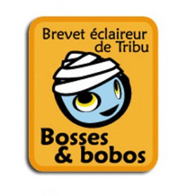 Insigne Bosses et bobos (BET)
