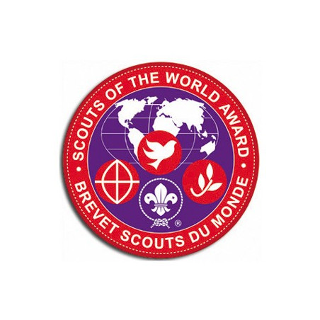 Insigne brevet scouts du monde