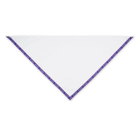 Foulard de l'amitié du scoutisme mondial