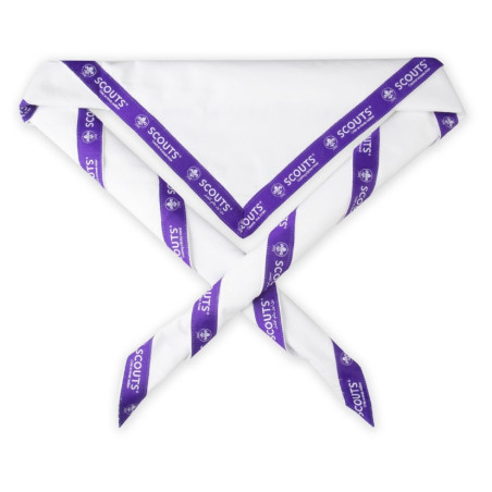 Foulard de l'amitié du scoutisme mondial