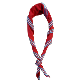 Foulard EDLN avec écusson