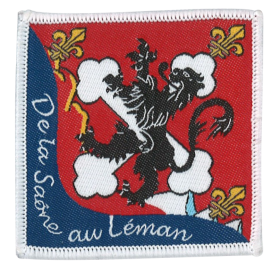Insigne de Territoire SAONE...