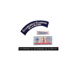 Proposition de branche EDLN