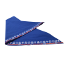 Foulard Scoutisme Francais //