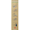 Mon coffret 1er Opinel