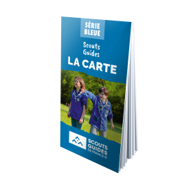 Carte série bleue par lot de 10