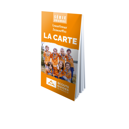 Carte série orange par lot de 10