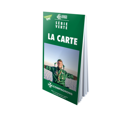 Carte série verte - compagnon par lot de 10