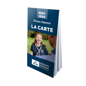 Carte série Impeesa par lot...