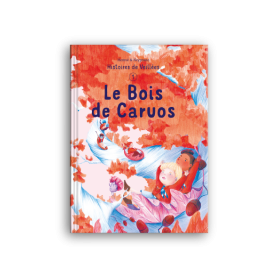 Histoires de Veillées -...