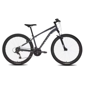 Vélo VTT coloris gris...