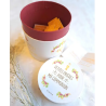 Petites prières pour ma communion / 52 prières (N)